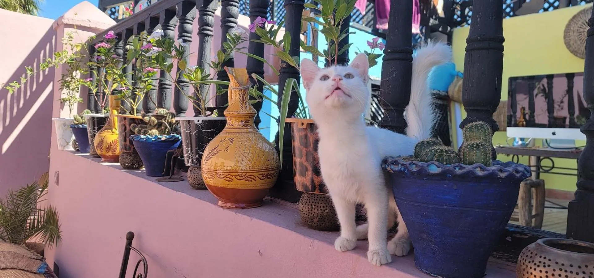 Riad Mamma Marrakech Marrakesh 0*,  Morocco